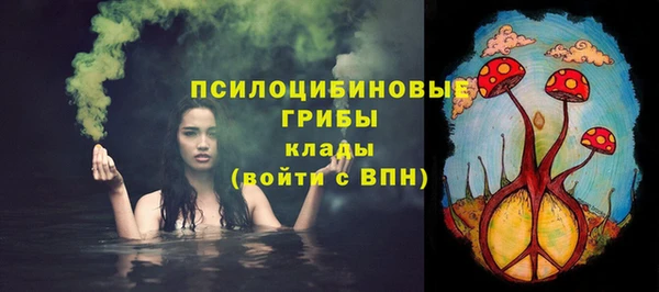 амф Алексин