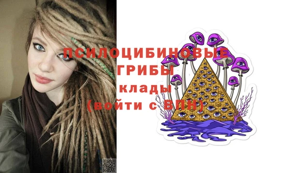 гидропоника Алзамай