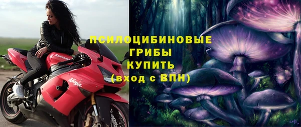 первитин Надым