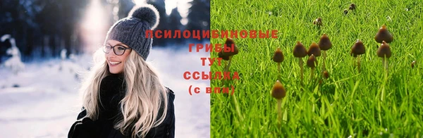 винт Алексеевка