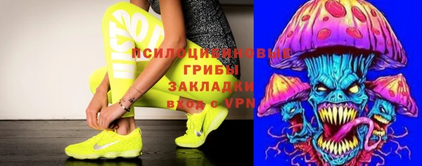гидропоника Алзамай